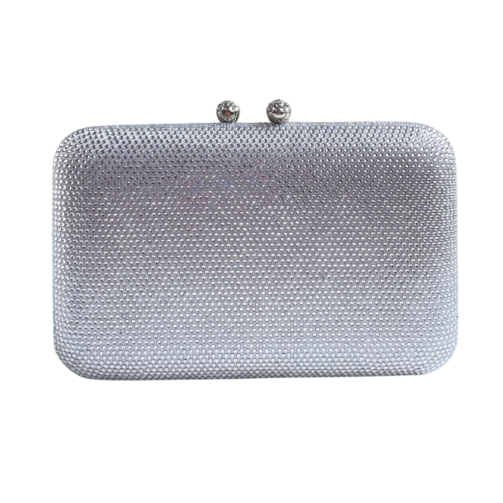 Bolsa de Festa Clutch Pedraria Prata Toucan